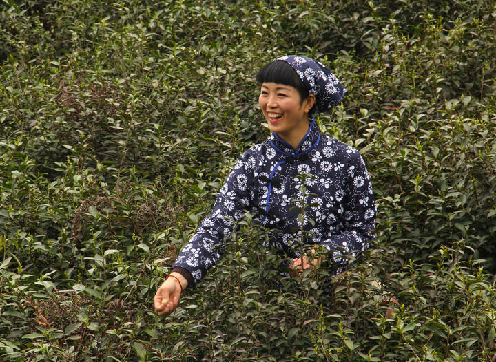 爱乐直tv成人影片 蜜桃之吻